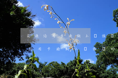 交通信用卡逾期上門催債的幾率多大-交通信用卡逾期上門催債的幾率多大啊