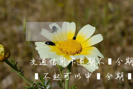 交通信用卡逾期不讓分期(交通信用卡逾期了還不起可以申請分期還不)