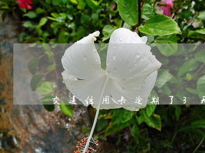 交通信用卡逾期了3天