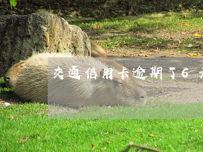 交通信用卡逾期了6天嚴重嗎