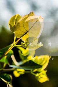 交通信用卡逾期了只是還的少 交通銀行信用卡,9000逾期半年了,會(huì)怎么樣