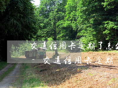 交通信用卡逾期了怎么協(xié)商分期-交通信用卡逾期了怎么協(xié)商分期還款