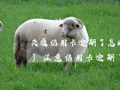 交通信用卡逾期了怎么提醒你-沒(méi)注意信用卡逾期了