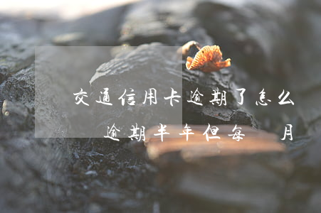 交通信用卡逾期了怎么還最低(交通信用卡1萬逾期半年,但每個月還一點(diǎn))