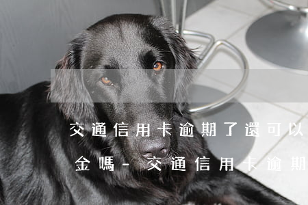 交通信用卡逾期了還可以借現(xiàn)金嗎-交通信用卡逾期了還可以借現(xiàn)金嗎安全嗎