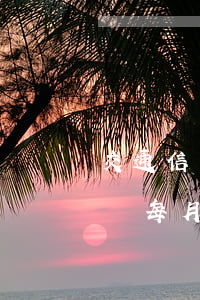 交通信用卡逾期二十多天(交通信用卡逾期兩萬,每月還點會被起訴嗎)