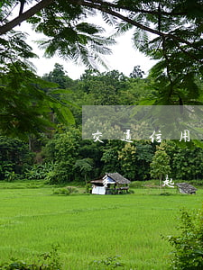 交通信用卡逾期五千多(交通信用卡逾期五千多會起訴嗎)
