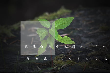 交通信用卡逾期五萬(wàn)以下(信用卡逾期五萬(wàn)以上)