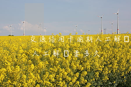 交通信用卡逾期人工解凍-交通信用卡逾期人工解凍要多久