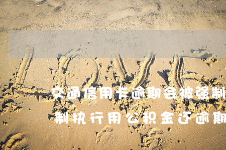 交通信用卡逾期会被强制执行吗(法院可以强制执行用公积金还逾期信用卡吗)