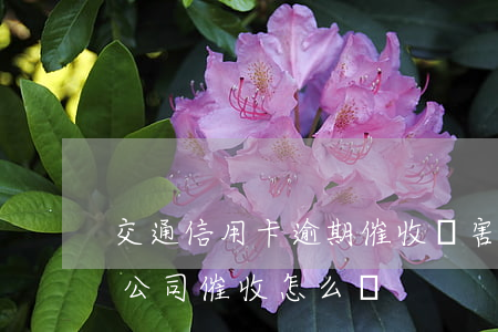 交通信用卡逾期催收厲害(欠信用卡被催收上公司催收怎么辦)