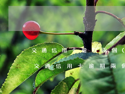 交通信用卡逾期兩個(gè)月卡被停了-交通信用卡逾期兩個(gè)月卡被停了怎么辦
