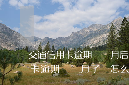 交通信用卡逾期兩個月后果(欠交通銀行信用卡逾期幾個月了會怎么辦)