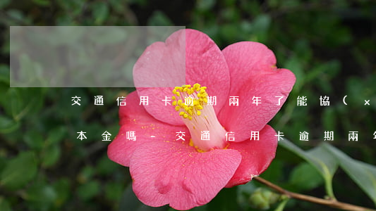 交通信用卡逾期兩年了能協(xié)商還本金嗎-交通信用卡逾期兩年了能協(xié)商還本金嗎
