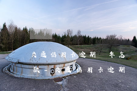 交通信用卡逾期兩年怎樣協(xié)商還款-交通信用卡逾期兩年怎樣協(xié)商還款呢
