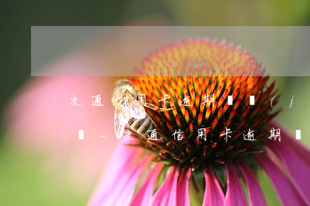 交通信用卡逾期凍結(jié)還完能解開嗎-交通信用卡逾期凍結(jié)還完能解開嗎安全嗎