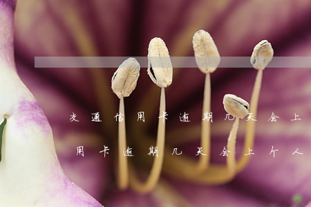 交通信用卡逾期几天会上个人征信-交通信用卡逾期几天会上个人征信吗