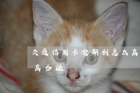 交通信用卡逾期利息太高(信用卡逾期利息太高合法嗎)