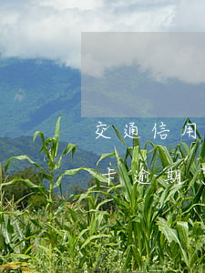 交通信用卡逾期利息是多少(交通銀行的信用卡逾期了怎么辦)