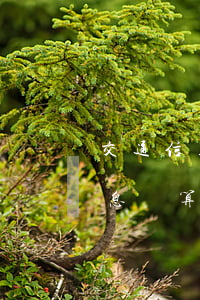 交通信用卡逾期利息計算(交通信用卡逾期利息計算)
