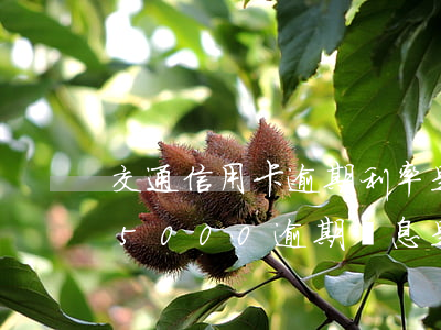 交通信用卡逾期利率是多少(交通銀行信用卡5000逾期罰息是多少?)