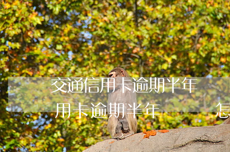 交通信用卡逾期半年沒還會怎么樣-交通信用卡逾期半年沒還會怎么樣嗎