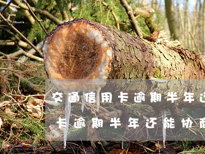 交通信用卡逾期半年还能协商吗-交通信用卡逾期半年还能协商吗