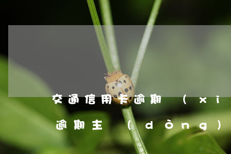 交通信用卡逾期協(xié)商反悔(信用卡逾期主動(dòng)協(xié)商管用嗎)