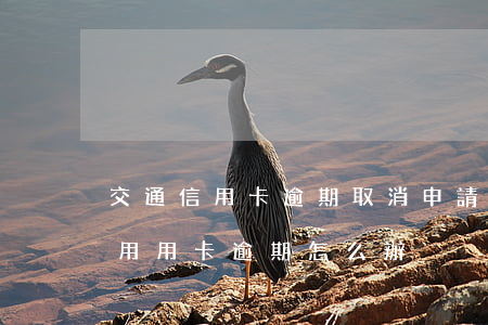 交通信用卡逾期取消申請(qǐng)表(信用用卡逾期怎么辦)