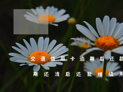 交通信用卡逾期后还款吗(交通银行信用卡逾期还清后还能继续用吗)
