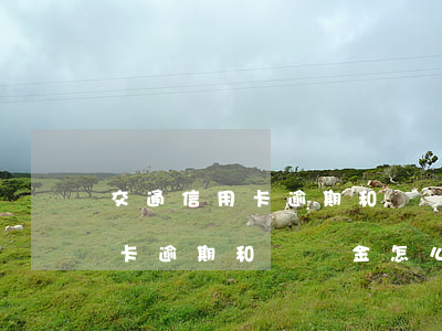 交通信用卡逾期和違約金怎么算-交通信用卡逾期和違約金怎么算的