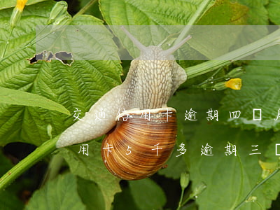 交通信用卡逾期四個月上門嗎-交通銀行信用卡5千多逾期三個月