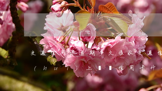 交通信用卡逾期多久催收(交通信用卡逾期會(huì)上門嗎信用卡什么時(shí)候會(huì)上門催收)
