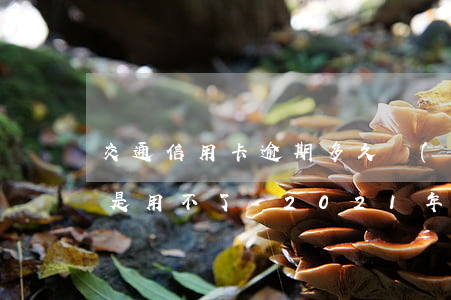 交通信用卡逾期多久會(huì)封卡是不是用不了-2021年交通信用卡逾期新法規(guī)