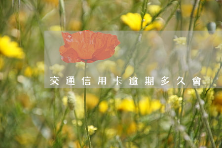 交通信用卡逾期多久會強制執(zhí)行