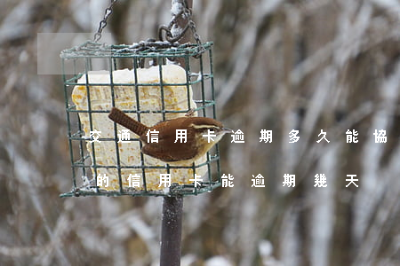 交通信用卡逾期多久能協(xié)商(交行的信用卡能逾期幾天)