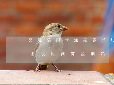交通信用卡逾期多长时间-交通信用卡逾期多长时间算逾期吗