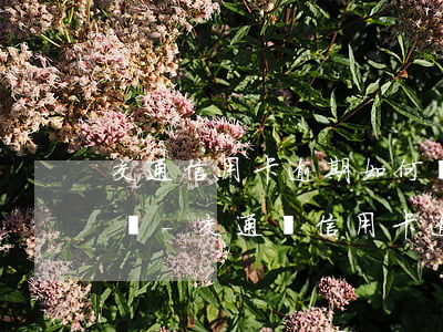 交通信用卡逾期如何協(xié)商停息掛賬-交通銀信用卡逾期如何協(xié)商還款?