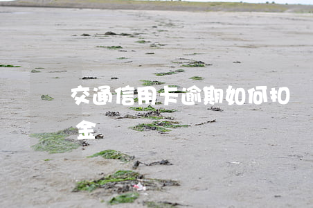 交通信用卡逾期如何扣費(信用卡逾期扣違約金)