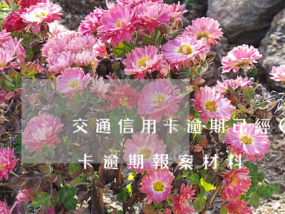 交通信用卡逾期已經(jīng)報案(信用卡逾期報案材料)