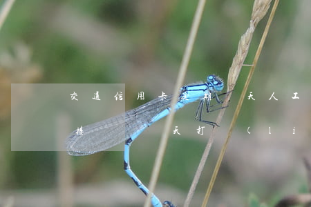 交通信用卡逾期幾天人工(交通信用卡逾期不接電話幾天打聯(lián)系人)