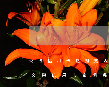 交通信用卡逾期幾天還了最低沒有額度了-交通信用卡逾期幾天還了最低沒有額度了怎么辦