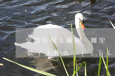 交通信用卡逾期從哪里還(交通信用卡逾期還款了卡什么時(shí)候可以恢復(fù))