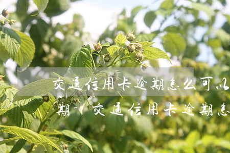 交通信用卡逾期怎么可以協(xié)商分期-交通信用卡逾期怎么可以協(xié)商分期還款