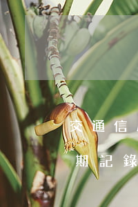 交通信用卡逾期怎么消除(交通銀行信用卡逾期記錄怎么消除)