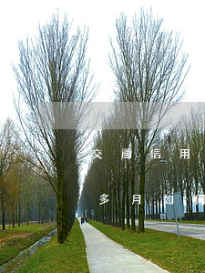 交通信用卡逾期怎么辦(交通信用卡逾期3個多月,如何協(xié)商處理)