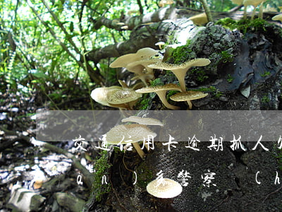 交通信用卡逾期抓人(欠交通信用卡一萬(wàn)多警察會(huì)上門調(diào)查嗎)