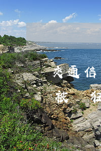 交通信用卡逾期暴力催收(信用卡逾期為什么被瘋狂催收)