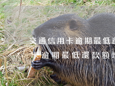 交通信用卡逾期最低還款額增加-交通信用卡逾期最低還款額增加多少