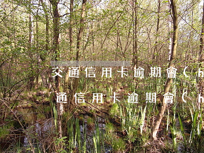 交通信用卡逾期會(huì)提前通知嗎(交通信用卡逾期會(huì)提前通知嗎怎么辦)